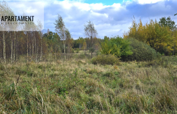 Malownicze działki budowlane – Mierzeszyn