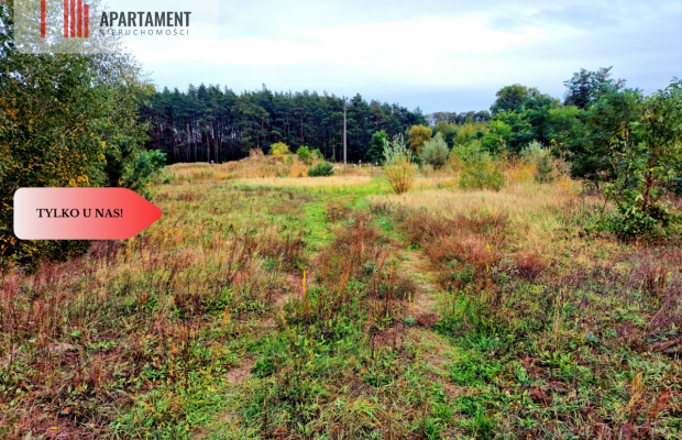 Tylko u Nas! Kopalnia żwiru z koncesją! Stawy!