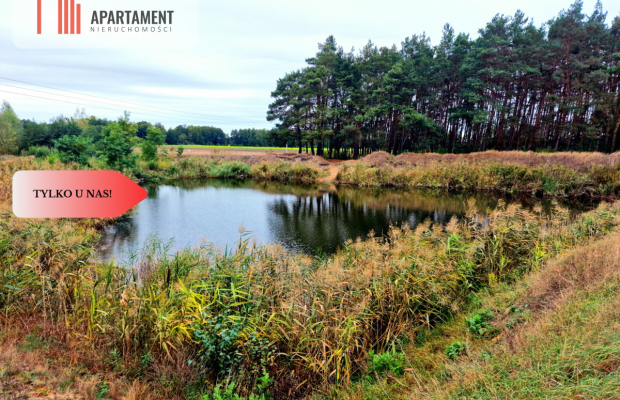Tylko u Nas! Kopalnia żwiru z koncesją! Stawy!