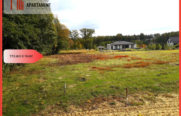 TYLKO U NAS !!! TOPORZYSKO 800 m2 SUPER LOKALIZACA