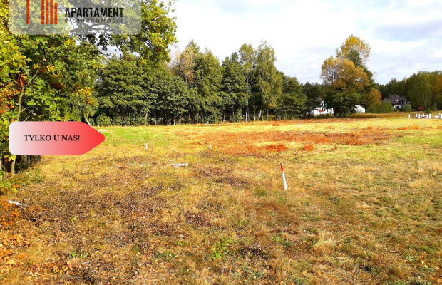 TYLKO U NAS !!! TOPORZYSKO 800 m2 SUPER LOKALIZACA