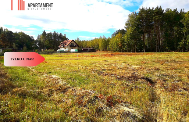 TYLKO U NAS !!! TOPORZYSKO 800 m2 SUPER LOKALIZACA