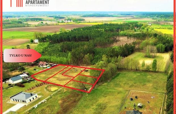 TYLKO U NAS !!! TOPORZYSKO 800 m2 SUPER LOKALIZACA