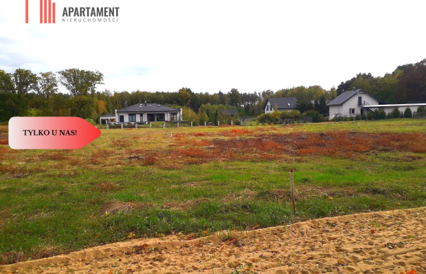 TYLKO U NAS !!! TOPORZYSKO 800 m2 SUPER LOKALIZACA