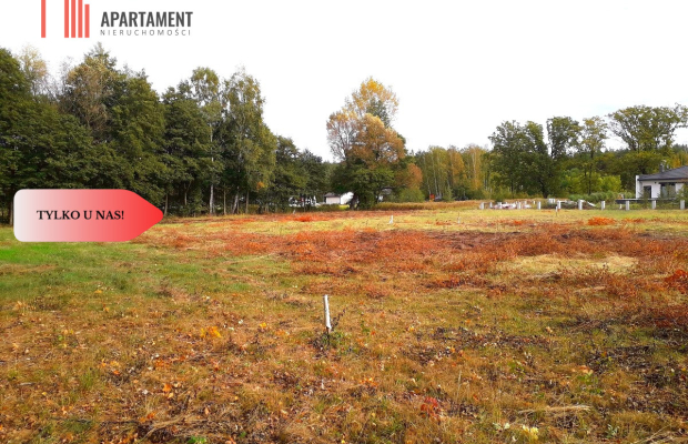 TYLKO U NAS !!! TOPORZYSKO 800 m2 SUPER LOKALIZACA