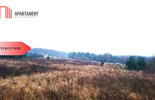 Duża narożna działka z prądem, las, jezioro.