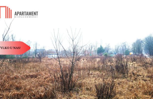 Duża narożna działka z prądem, las, jezioro.