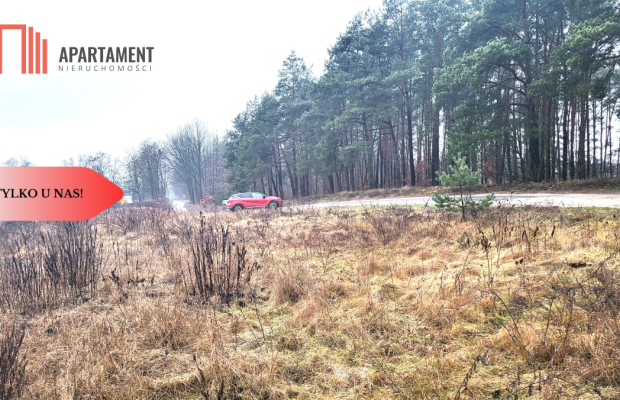 Duża narożna działka z prądem, las, jezioro.