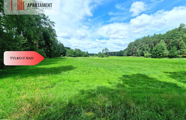 Polany w lesie! Bory Tucholskie! Głusza!