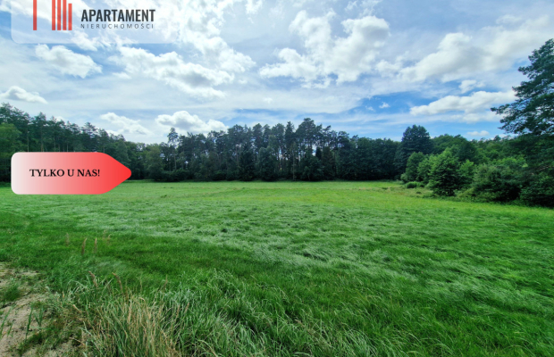 Polany w lesie! Bory Tucholskie! Głusza!