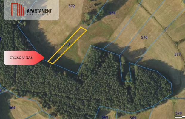 Polany w lesie! Bory Tucholskie! Głusza!