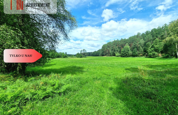 Polany w lesie! Bory Tucholskie! Głusza!