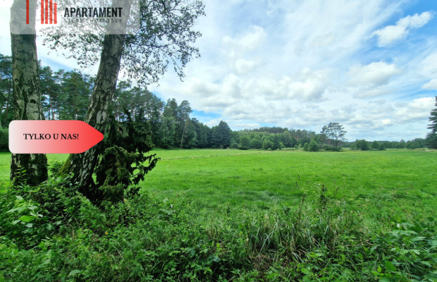 Polany w lesie! Bory Tucholskie! Głusza!