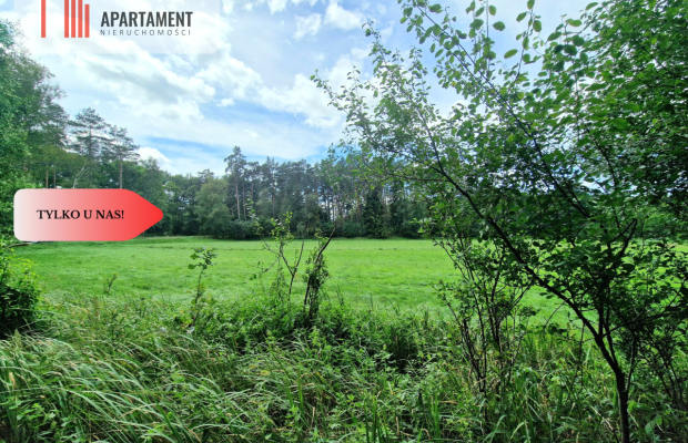 Polany w lesie! Bory Tucholskie! Głusza!