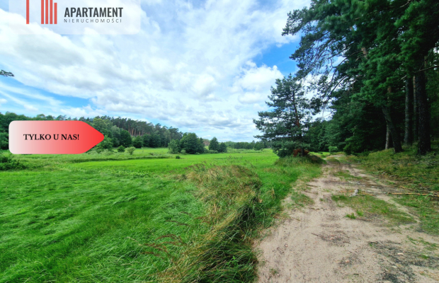 Polany w lesie! Bory Tucholskie! Głusza!