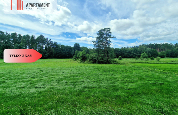 Polany w lesie! Bory Tucholskie! Głusza!