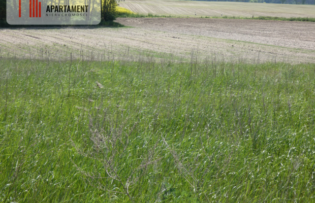 Działki budowlane z warunkami zabudowy