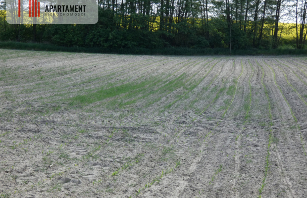 Działki budowlane z warunkami zabudowy