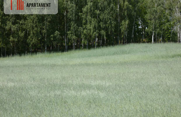 Działki budowlane z warunkami zabudowy