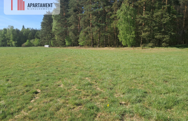 Działki rolne 2,06 ha – Górzna k. Złotowa