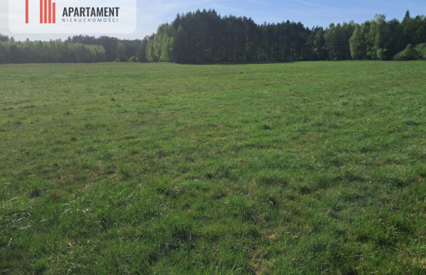 Działki rolne 2,06 ha – Górzna k. Złotowa