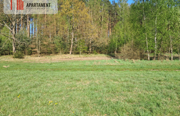 Działki rolne 2,06 ha – Górzna k. Złotowa