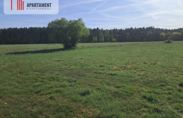 Działki rolne 2,06 ha – Górzna k. Złotowa