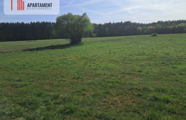 Działki rolne 2,06 ha – Górzna k. Złotowa