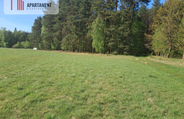 Działki rolne 2,06 ha – Górzna k. Złotowa