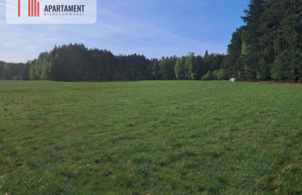 Działki rolne 2,06 ha – Górzna k. Złotowa