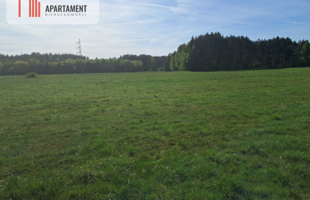 Działki rolne 2,06 ha – Górzna k. Złotowa