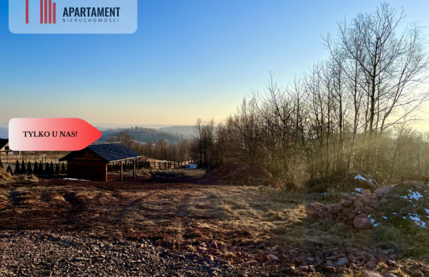 Działka w Górach Sowich - widokowa, uzbrojona.