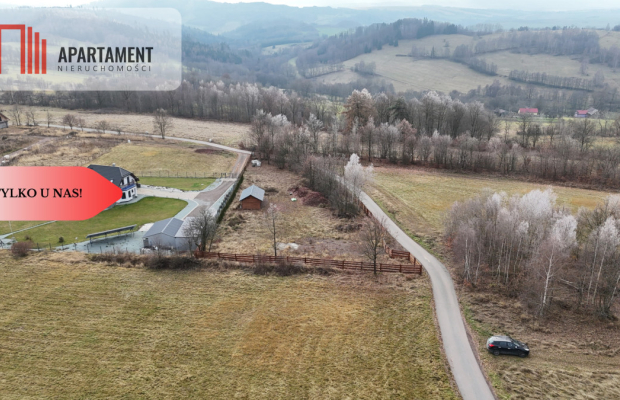 Działka w Górach Sowich - widokowa, uzbrojona.