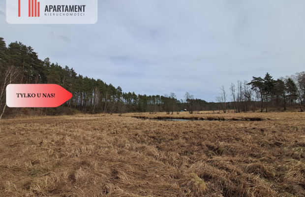 Działka  1,140 ha w lesie, przy rzece Wda-Smolniki