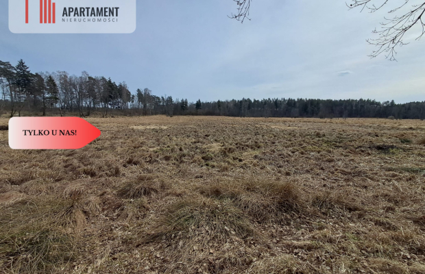 Działka  1,140 ha w lesie, przy rzece Wda-Smolniki