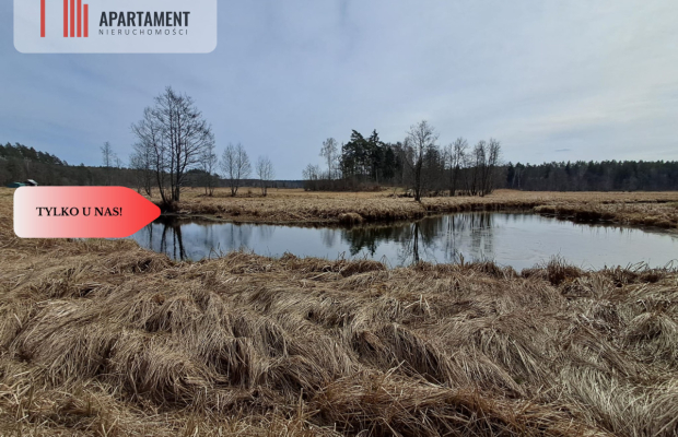 Działka  1,140 ha w lesie, przy rzece Wda-Smolniki