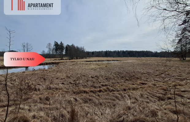 Działka  1,140 ha w lesie, przy rzece Wda-Smolniki