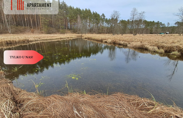 Działka  1,140 ha w lesie, przy rzece Wda-Smolniki