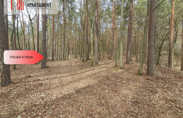 Działka  1,140 ha w lesie, przy rzece Wda-Smolniki