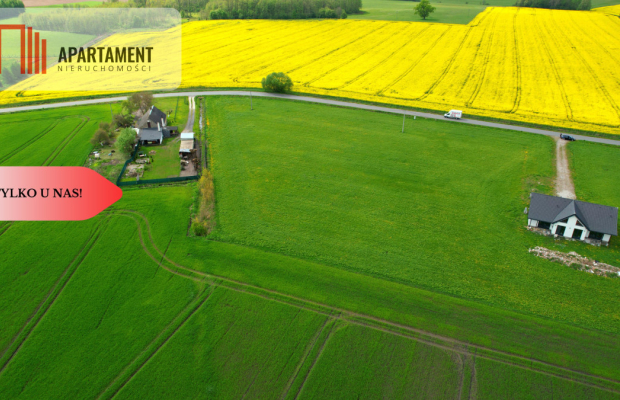 * Atrakcyjna cena! Działka z WZ Zalesie Szubin