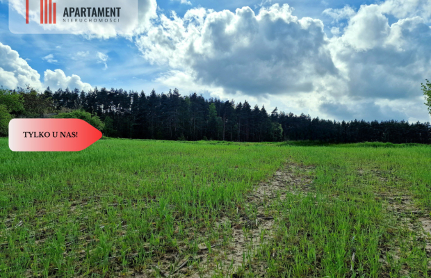 Tylko u Nas! Działka budowlana z pięknym widokiem!