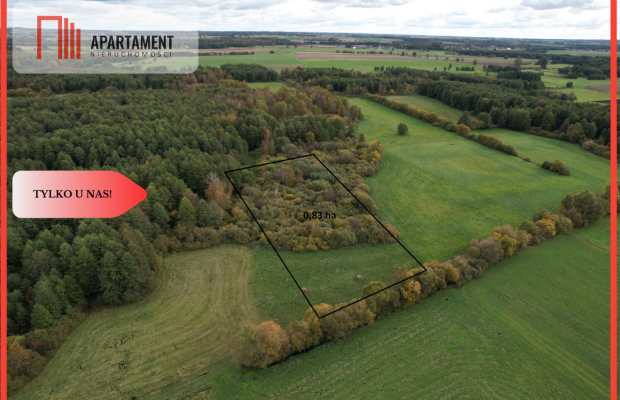 Duża działka, w niskiej cenie!