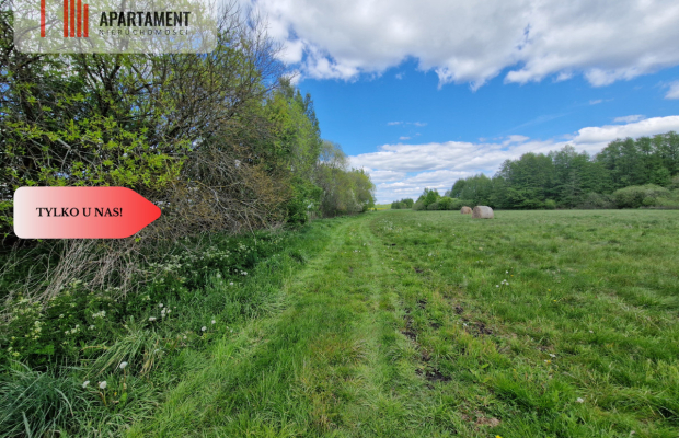 Duża działka, w niskiej cenie!