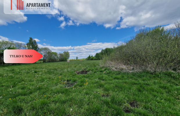 Duża działka, w niskiej cenie!