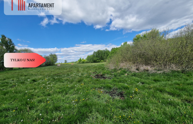 Duża działka, w niskiej cenie!