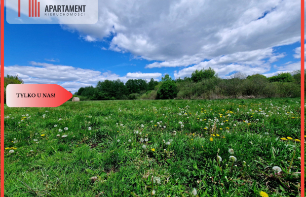 Duża działka, w niskiej cenie!