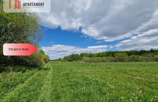 Duża działka, w niskiej cenie!