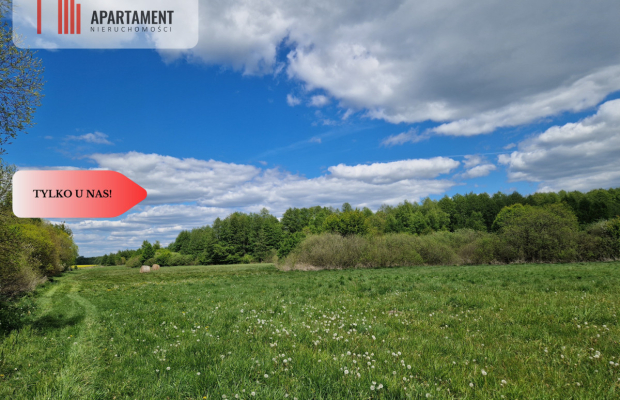 Duża działka, w niskiej cenie!