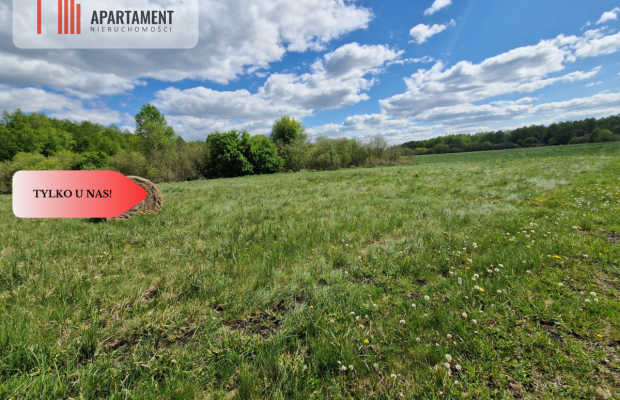 Duża działka, w niskiej cenie!