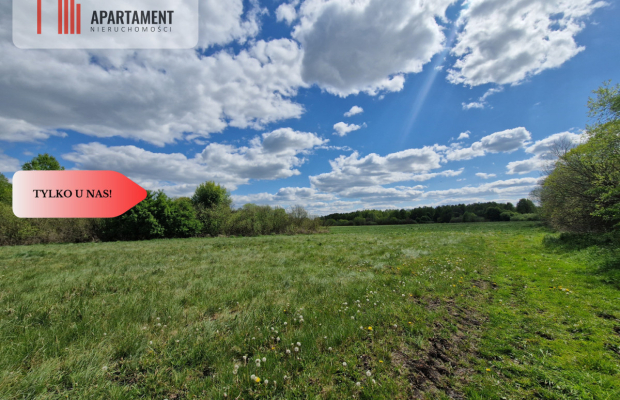 Duża działka, w niskiej cenie!